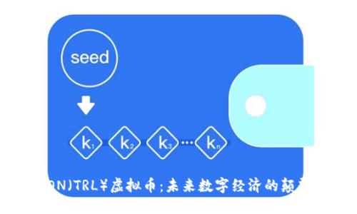 TRON（TRL）虚拟币：未来数字经济的颠覆者