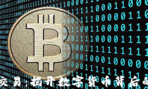 
严查虚拟币交易：揭开数字货币背后的秘密与挑战