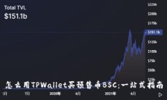 怎么用TPWallet买预售币BS
