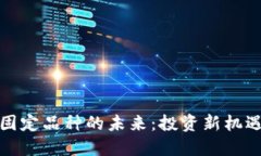 探索虚拟币固定品种的未