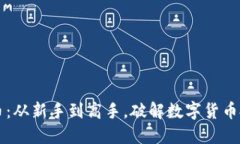 飞跃虚拟币：从新手到高