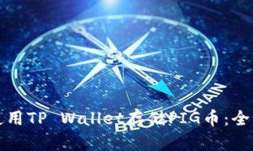 如何使用TP Wallet存储PIG币：全面指南