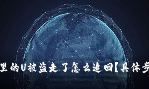 tpwallet里的U被盗走了怎么追回？具体步骤大揭秘