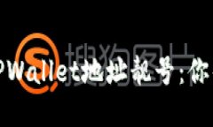 如何选择和获取TPWallet地址