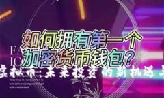 揭秘BDM虚拟币：未来投资