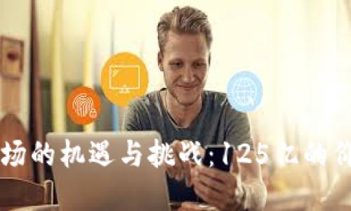 虚拟币市场的机遇与挑战：125亿的价值与未来
