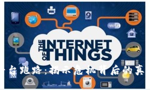 虚拟币钱包平台跑路：揭示危机背后的真相与应对策略