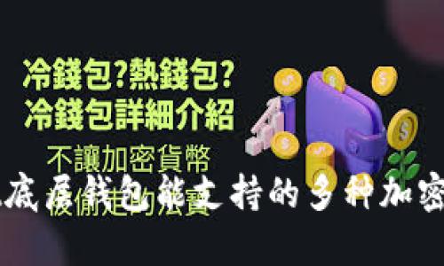 TPWallet底层钱包能支持的多种加密货币分析