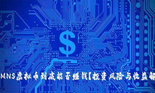 买MNS虚拟币到底能否赚钱？投资风险与收益解析