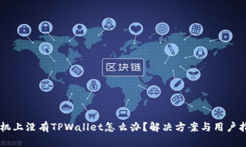 手机上没有TPWallet怎么办？解决方案与用户指南