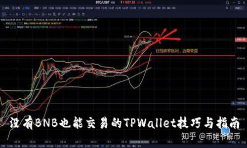 没有BNB也能交易的TPWallet技巧与指南