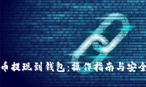 虚拟币提现到钱包：操作指南与安全建议