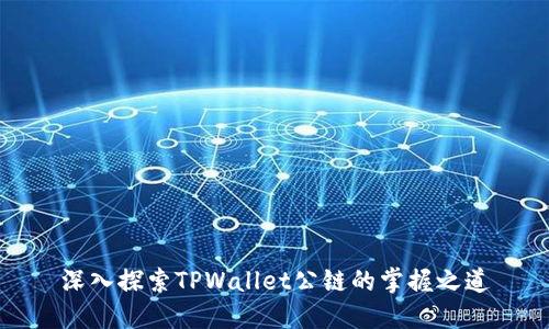 深入探索TPWallet公链的掌握之道