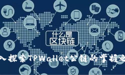 深入探索TPWallet公链的掌握之道