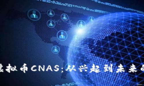 探秘虚拟币CNAS：从兴起到未来的趋势