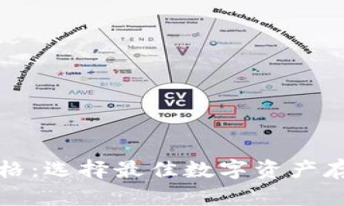 揭秘虚拟币钱包价格：选择最佳数字资产存储选项的终极指南