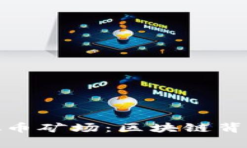 揭秘国有虚拟币矿场：区块链背后的国家战略