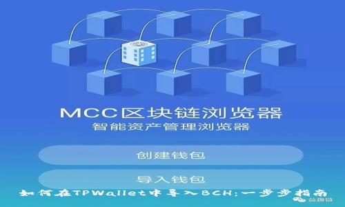 如何在TPWallet中导入BCH：一步步指南