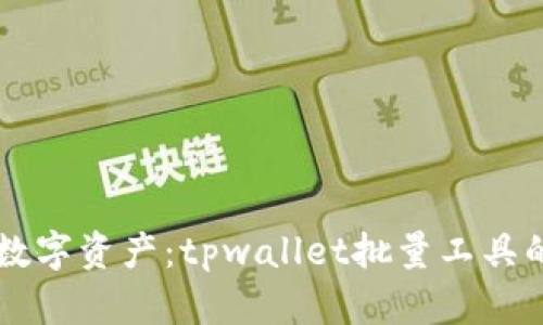 高效管理数字资产：tpwallet批量工具的全面指南