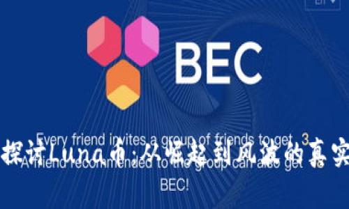 深入探讨Luna币：从崛起到风波的真实故事