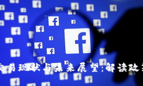 国内虚拟币交易现状与未来展望：解读政策与市场动向