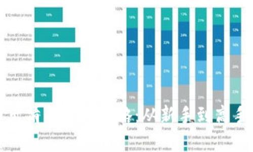 掌握虚拟币出清的核心策略：从新手到高手的必经之路