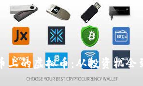 揭秘比特币上的虚拟币：从投资机会到风险分析