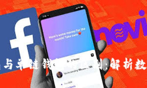 TPWallet身份钱包与单链钱包的区别：解析数字资产安全与便捷