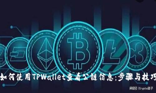 如何使用TPWallet查看公链信息：步骤与技巧
