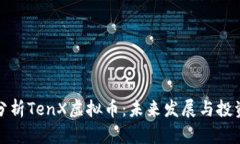 深入分析TenX虚拟币：未来