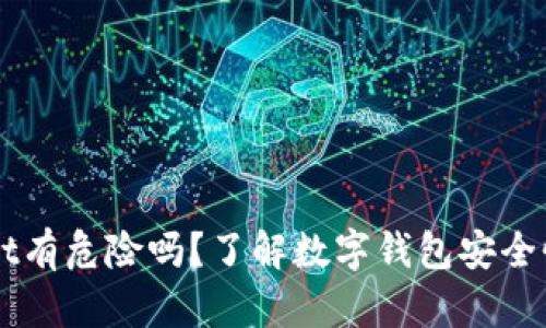 下载TPWallet有危险吗？了解数字钱包安全性的关键要素