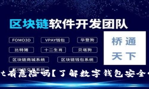 下载TPWallet有危险吗？了解数字钱包安全性的关键要素
