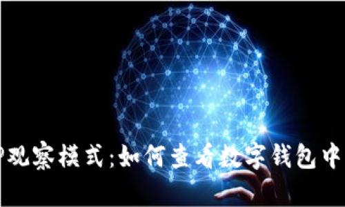 揭秘TP观察模式：如何查看数字钱包中的私钥