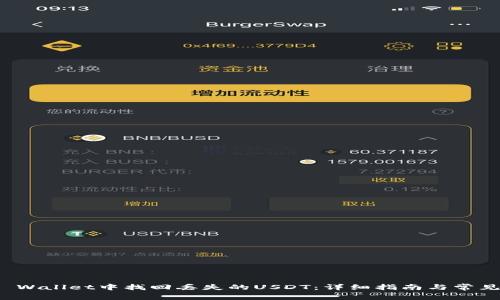 如何在TP Wallet中找回丢失的USDT：详细指南与常见解决方案