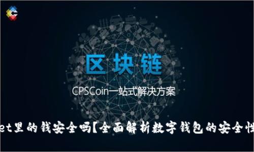 TPWallet里的钱安全吗？全面解析数字钱包的安全性与风险
