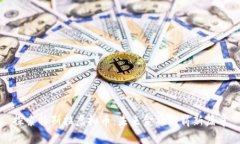 探索特斯拉虚拟币：未来