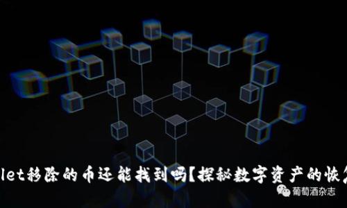 tpwallet移除的币还能找到吗？探秘数字资产的恢复之路