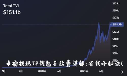 币安提现TP钱包手续费详解：省钱小秘诀！