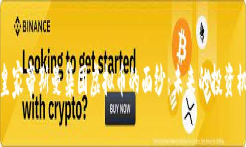 揭开荷兰皇家帝斯曼集团虚拟币的面纱：未来的投资机会与挑战