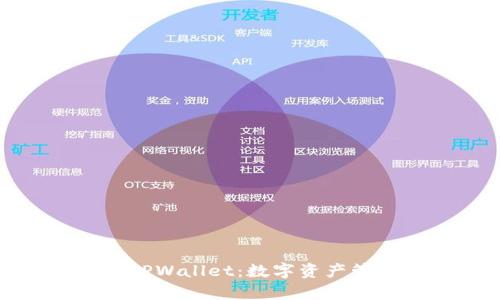 全面解析香港TPWallet：数字资产管理的未来之路