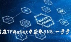 如何在TPWallet中获取BNB：一