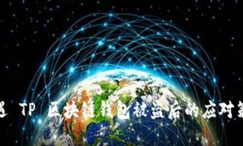 遭遇 TP 区块链钱包被盗后的应对策略