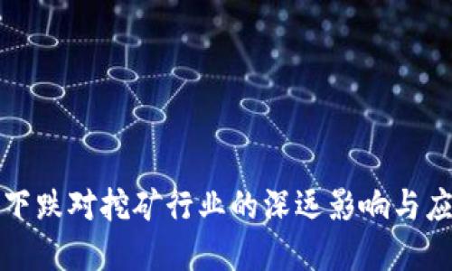 虚拟币下跌对挖矿行业的深远影响与应对策略