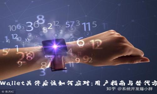 TPWallet关停后该如何应对：用户指南与替代方案