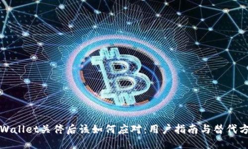 TPWallet关停后该如何应对：用户指南与替代方案