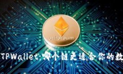 FIL币与TPWallet：哪个链更适