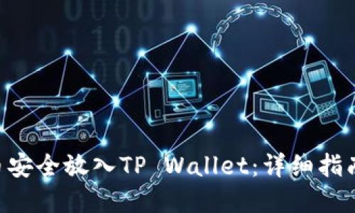 如何将NFT币安全放入TP Wallet：详细指南与实用技巧