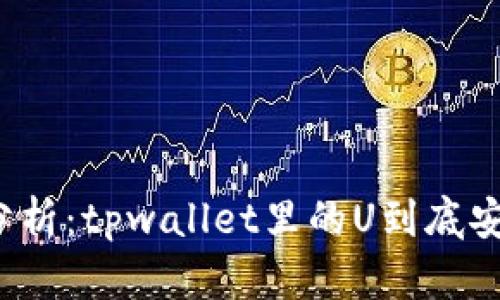 深入分析：tpwallet里的U到底安全吗？