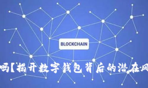 TPWallet安全吗？揭开数字钱包背后的潜在风险与安全措施