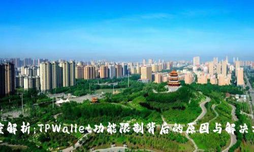 深度解析：TPWallet功能限制背后的原因与解决方案